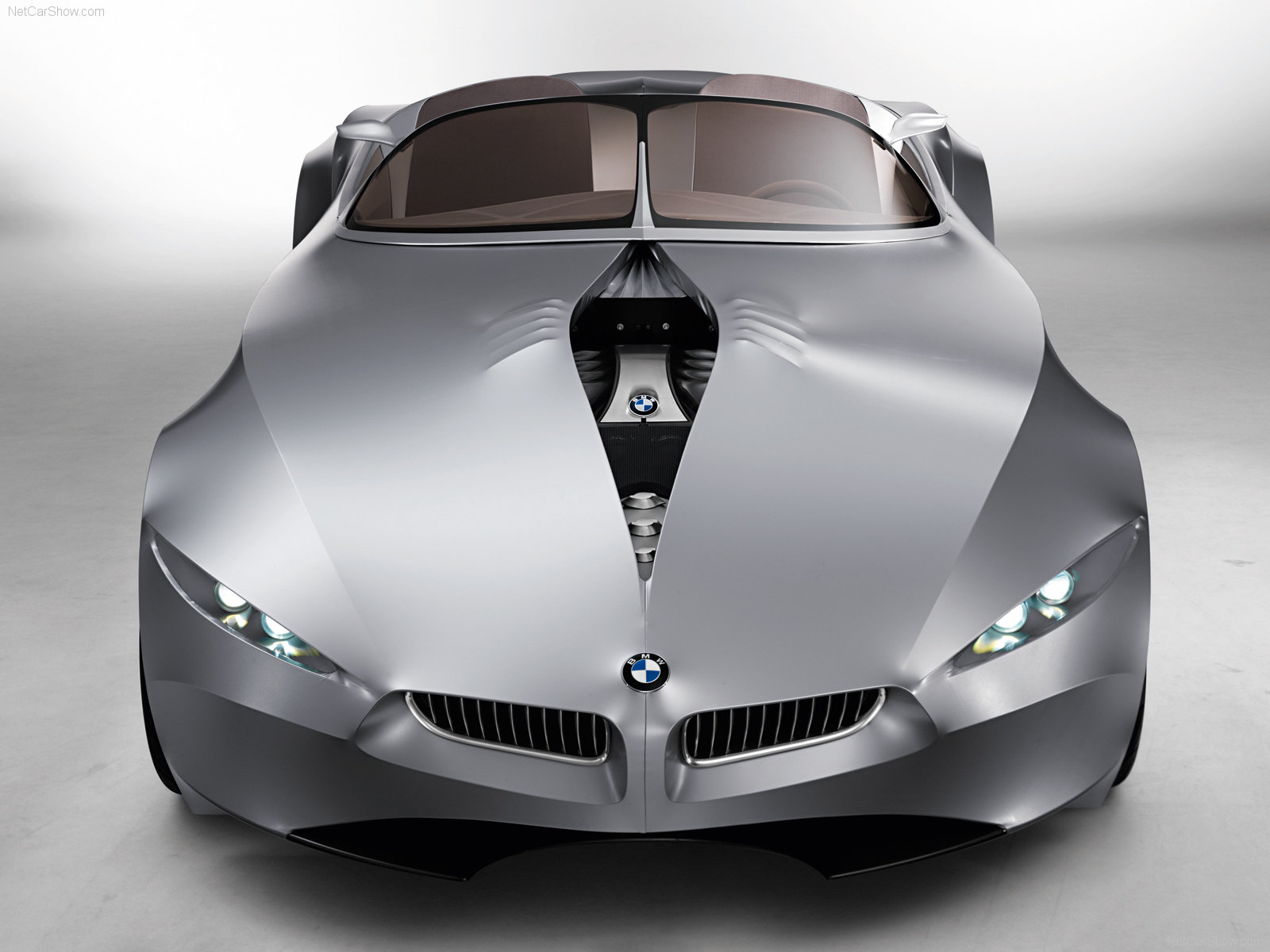 BMW-GINA_Light_Visionary_Model_mp2_pic_55550